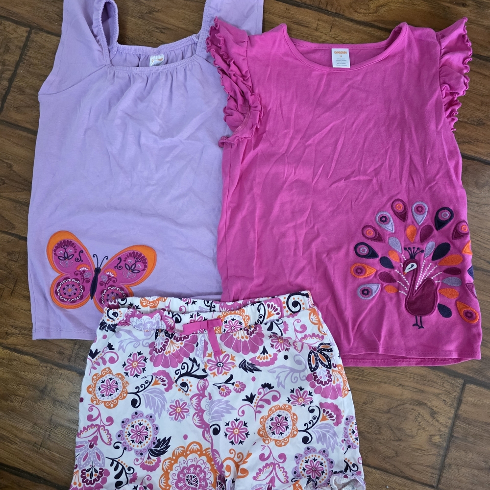 Gymboree Pink and Purple Kids Matching Set